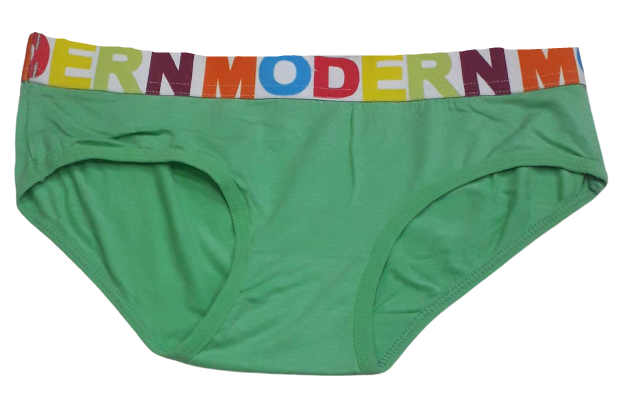 Comfortly Vanish Seamless Bikini Panty- Green