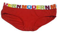 Comfortly Vanish Seamless Bikini Panty- Red