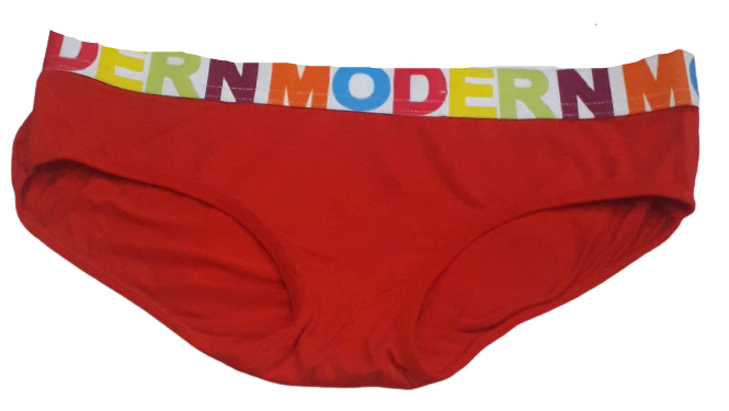 Comfortly Vanish Seamless Bikini Panty- Red