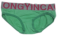 Comfortly Vanish Seamless Bikini Panty- Lite Green