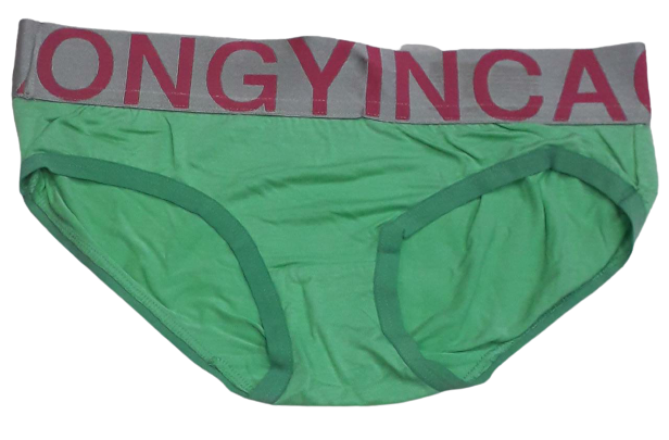 Comfortly Vanish Seamless Bikini Panty- Lite Green