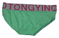 Comfortly Vanish Seamless Bikini Panty- Lite Green