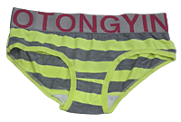 Comfortly Vanish Stripes Seamless Bikini Panty- Parrot Green