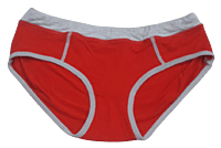 Comfortly Vanish Seamless Bikini Panty- Red And Grey