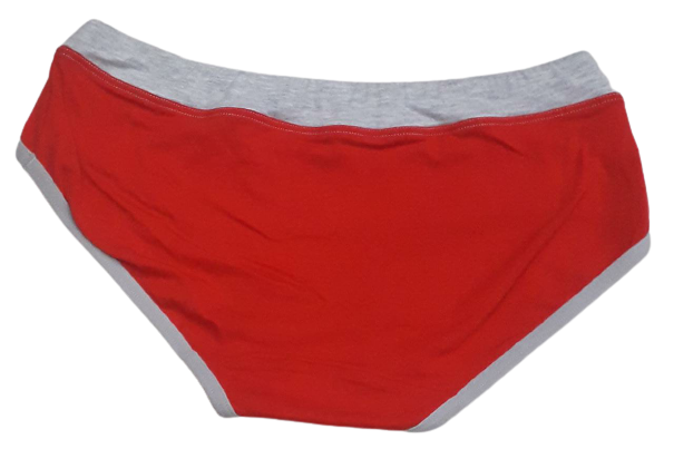 Comfortly Vanish Seamless Bikini Panty- Red And Grey