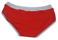 Comfortly Vanish Seamless Bikini Panty- Red And Grey