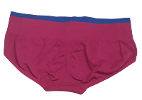 Comfortly Vanish Seamless Bikini Panty- Pink& Blue