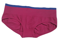 Comfortly Vanish Seamless Bikini Panty- Pink& Blue