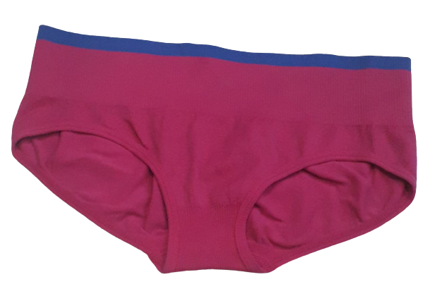 Comfortly Vanish Seamless Bikini Panty- Pink& Blue