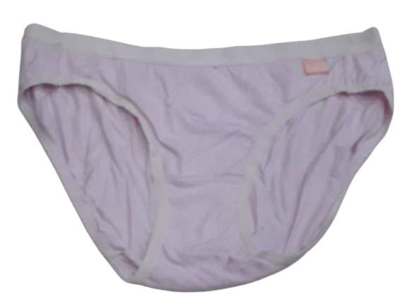 Comfortly Vanish Seamless Bikini Panty- Lite Pink