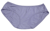 Comfortly Vanish Seamless Bikini Panty- Purple