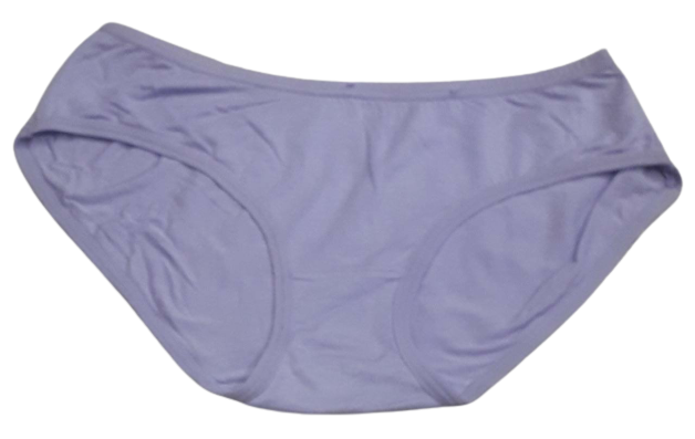 Comfortly Vanish Seamless Bikini Panty- Purple