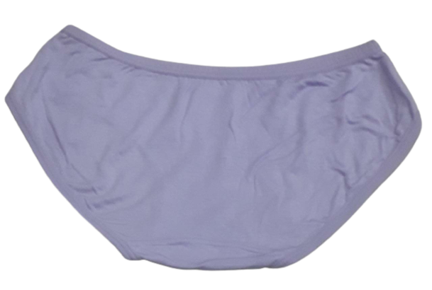Comfortly Vanish Seamless Bikini Panty- Purple