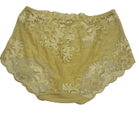 Fancy Boy Shorts Lacely Panty - Gold