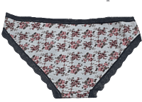 Fancy Mesh Printed Bikini Lacely Panty- White With Grey