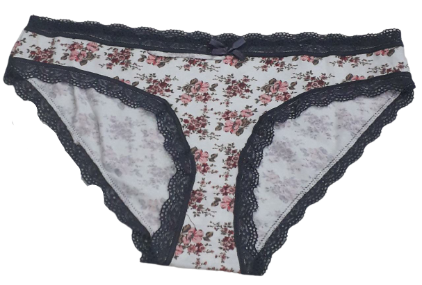 Fancy Mesh Printed Bikini Lacely Panty- White With Grey