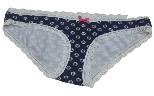 Fancy Mesh Printed Bikini Lacely Panty (Blue With White)