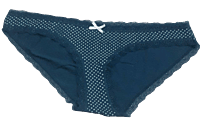 Fancy Mesh Printed Bikini Lacely Panty- Olive Blue