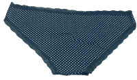 Fancy Mesh Printed Bikini Lacely Panty- Olive Blue