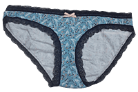 Fancy Mesh Printed Bikini Lacely Panty- Sky Blue