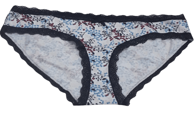 Fancy Mesh Printed Bikini Lacely Panty- White With Blue & Red Fancy Mesh Printed Bikini Lacely Panty- White With Blue & Red