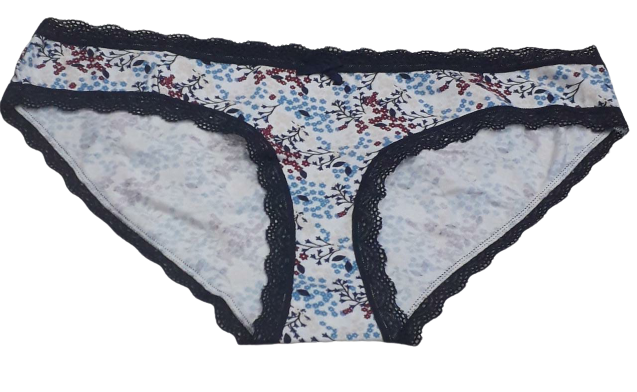 Fancy Mesh Printed Bikini Lacely Panty- White With Blue & Red