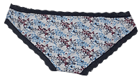 Fancy Mesh Printed Bikini Lacely Panty- White With Blue & Red