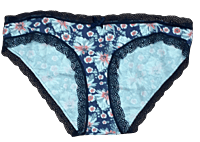 Fancy Mesh Printed Bikini Lacely Panty- Blue Flowery-M(37-38)