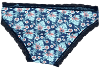 Fancy Mesh Printed Bikini Lacely Panty- Blue Flowery