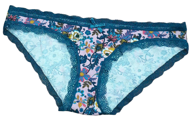 Fancy Mesh Printed Bikini Lacely Panty- Multi colour