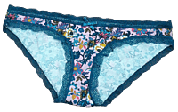 Fancy Mesh Printed Bikini Lacely Panty- Multi colour