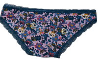 Fancy Mesh Printed Bikini Lacely Panty- Multi colour