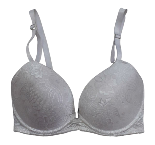 Lightly Padded Netted UnderWired Bra - White