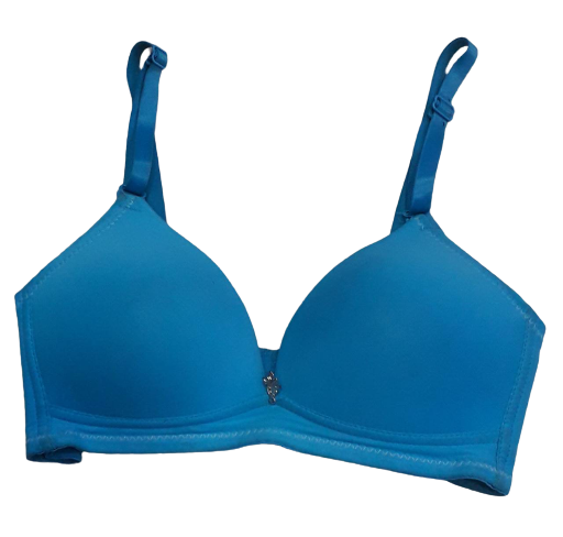Lightly Padded Full Coverage Padded Bra - Blue Lightly Padded Full Coverage Padded Bra - Blue