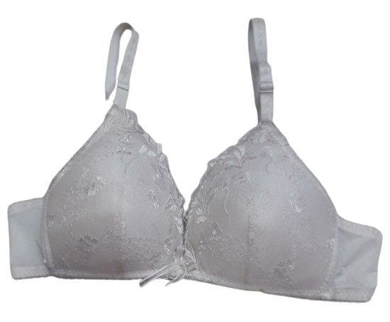 Lightly Padded Full Coverage Padded Bra - White