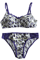 Lady Love Printed Lilly Set Bra & Panty Bridal Set-White With Blue